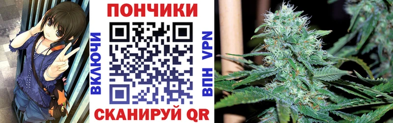 Бошки Шишки семена  Купить  Оханск 